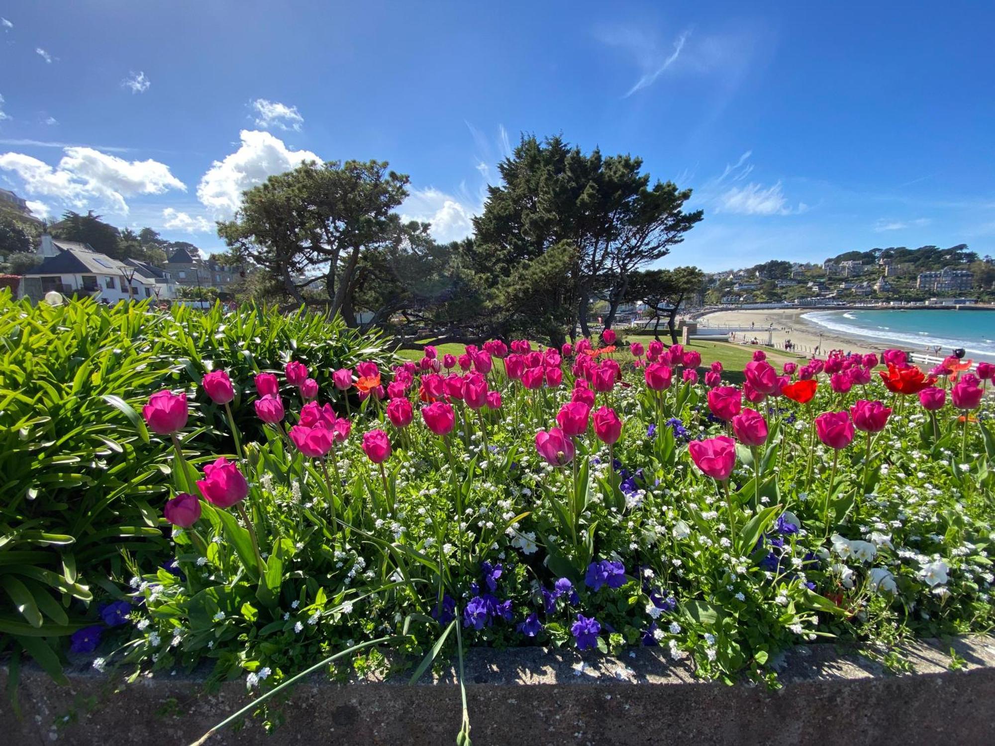 Coeur De Perros-Guirec - Studio Exteriör bild